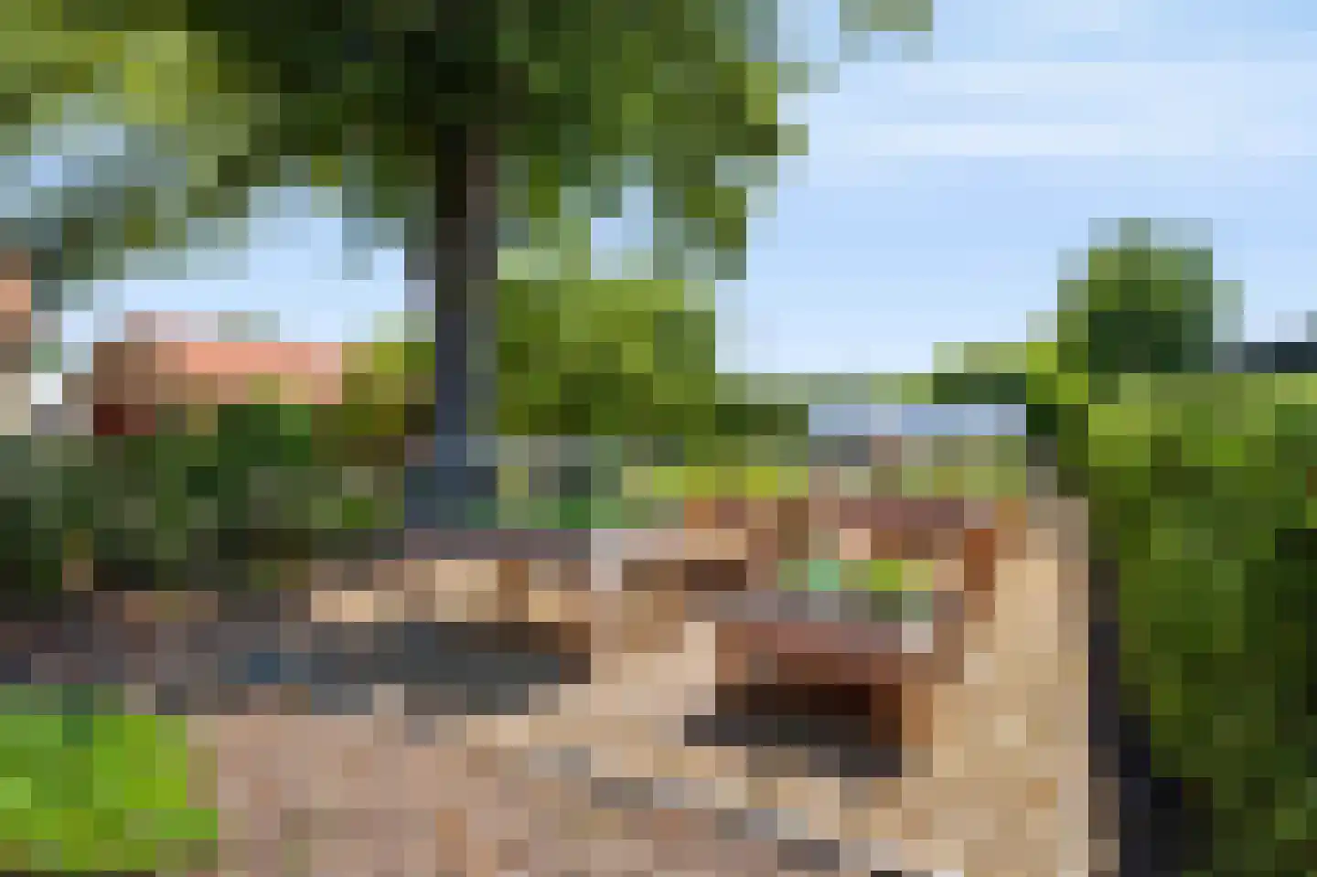 Voorsterweg 32 Loenen thumbnail 50
