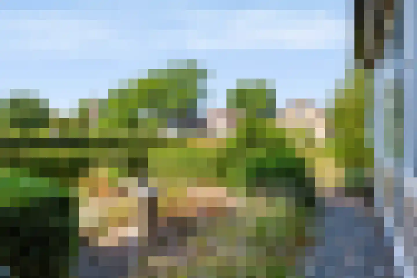 Voorsterweg 32 Loenen thumbnail 53