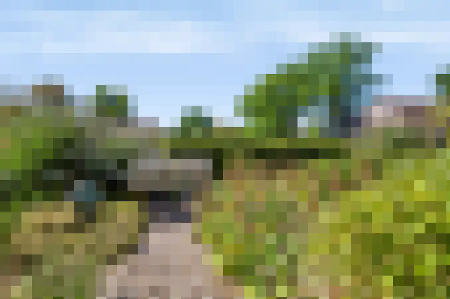 Voorsterweg 32 Loenen thumbnail 55