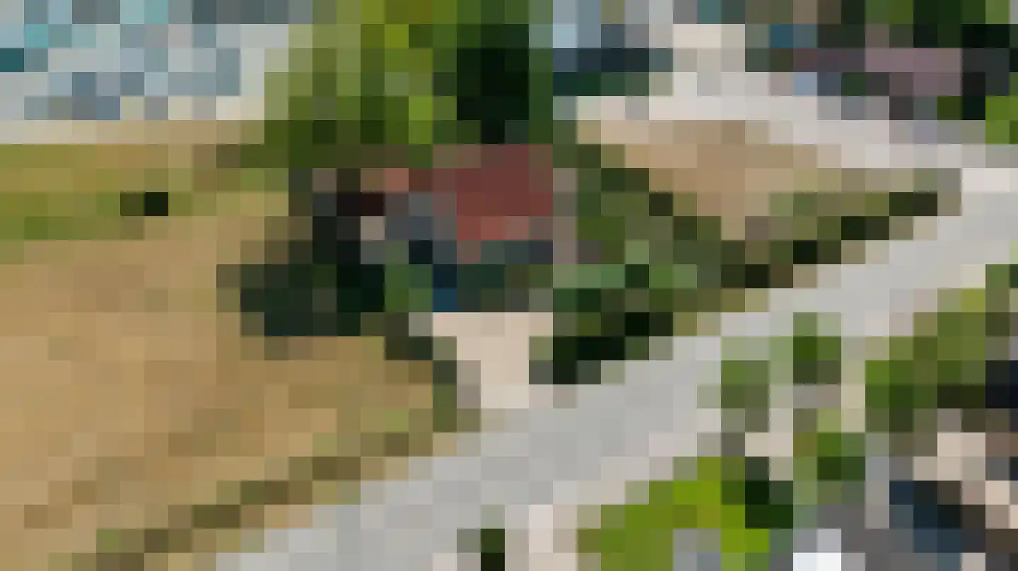 Voorsterweg 32 Loenen thumbnail 70