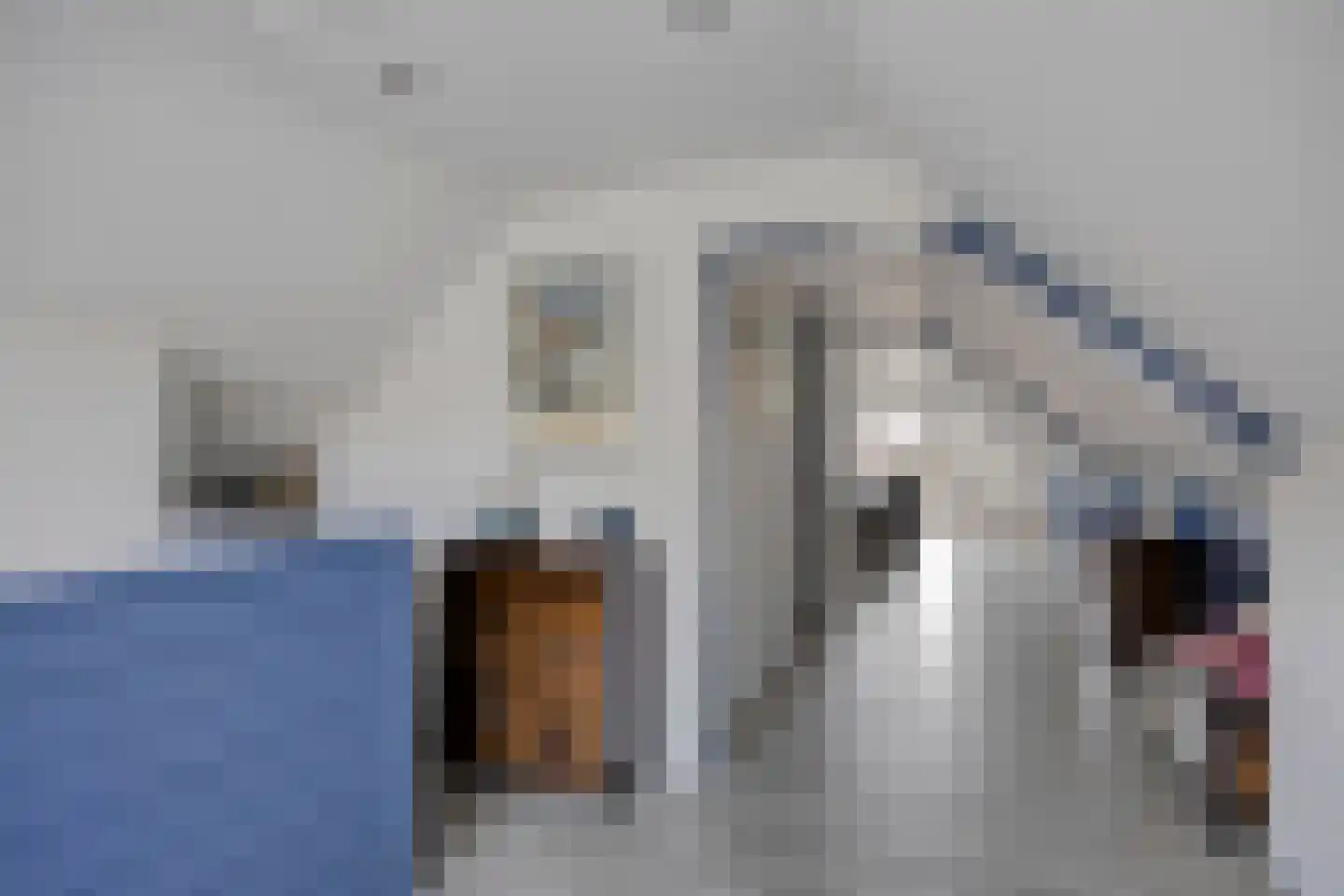 Voorsterweg 59 Zwolle thumbnail 33