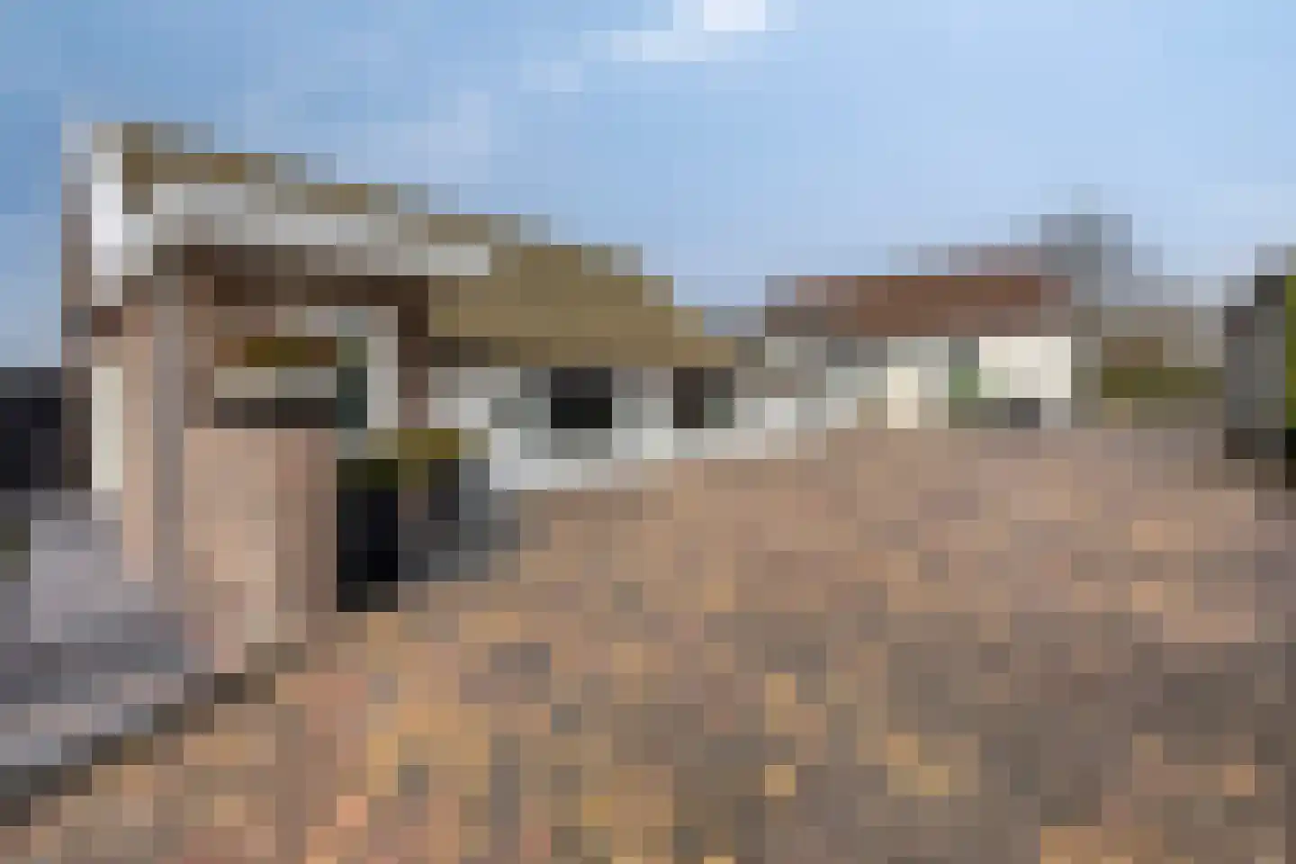 Voorsterweg 59 Zwolle thumbnail 4