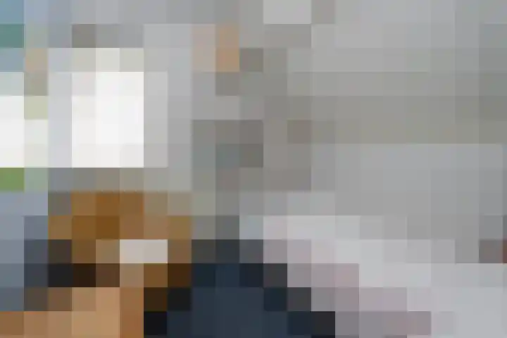 Voorsterweg 6 Brummen thumbnail 14