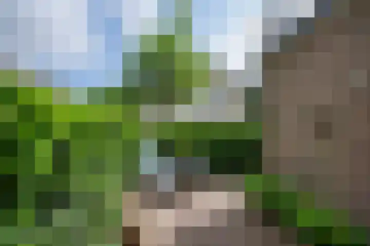 Voorsterweg 6 Brummen thumbnail 16