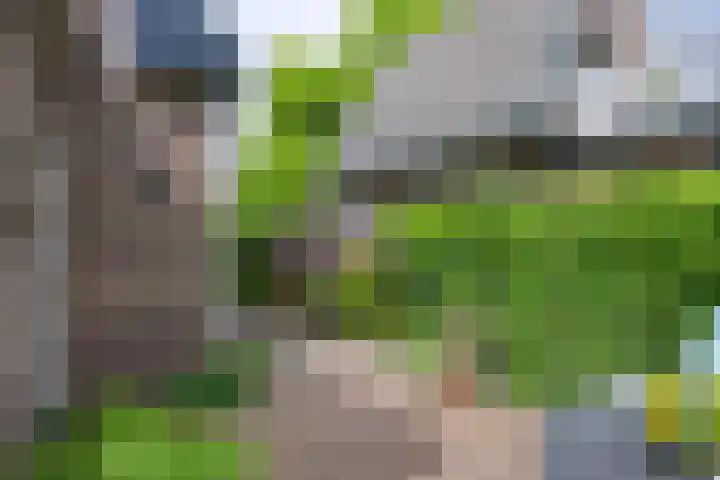 Voorsterweg 6 Brummen thumbnail 17