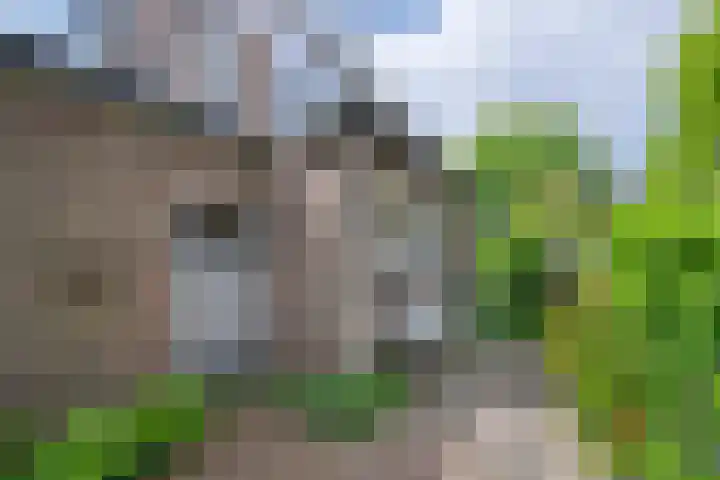 Voorsterweg 6 Brummen thumbnail 18