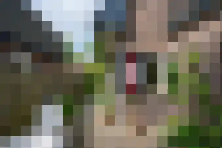 Voorsterweg 6 Brummen thumbnail 20