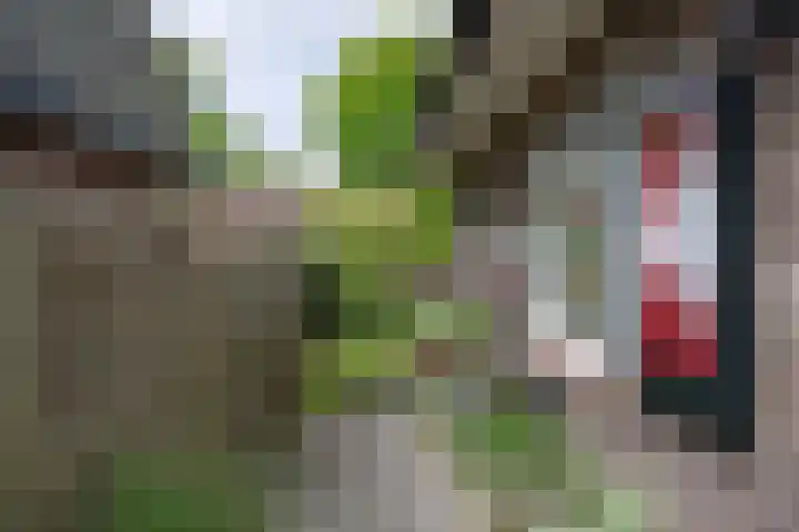 Voorsterweg 6 Brummen thumbnail 22