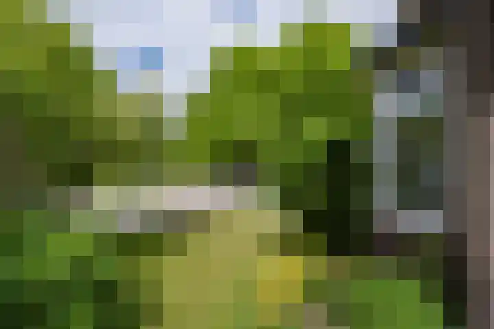 Voorsterweg 6 Brummen thumbnail 23