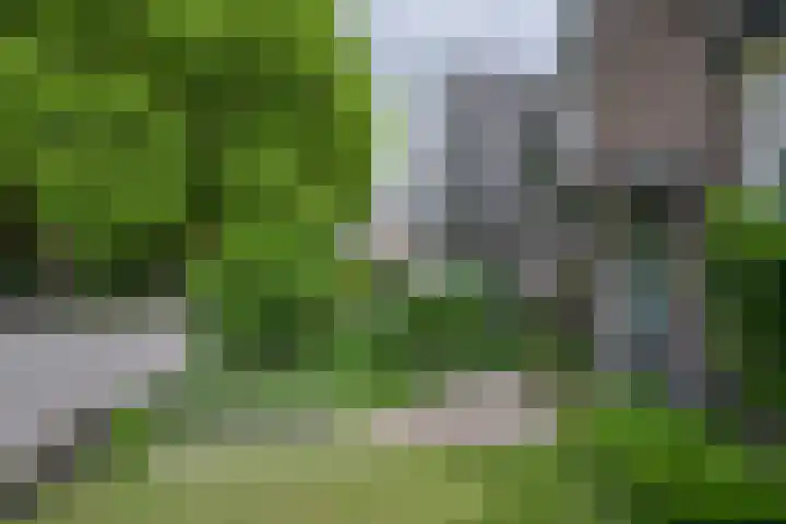 Voorsterweg 6 Brummen thumbnail 24