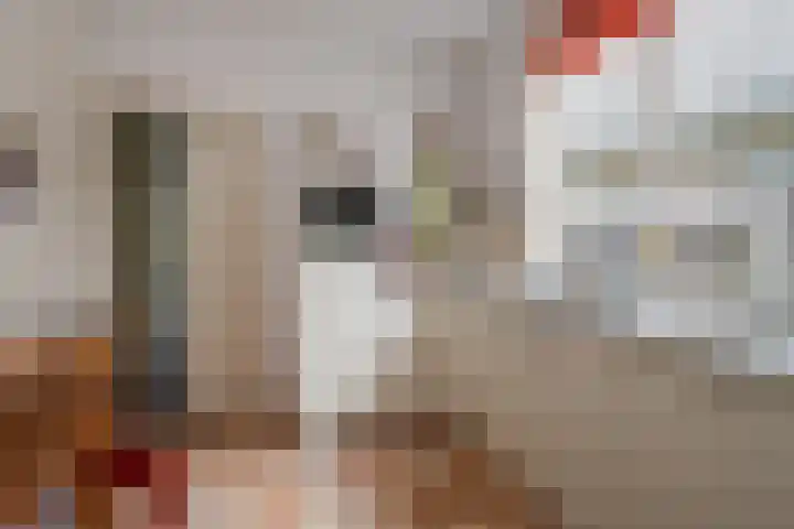 Voorsterweg 6 Brummen thumbnail 4