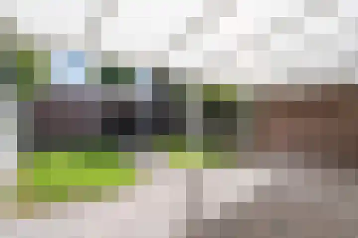 Voorstestraat 118 Weert thumbnail 5