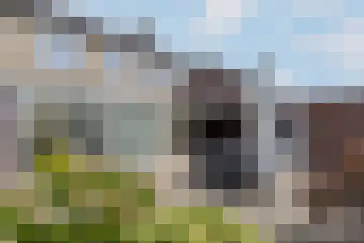 Voorstestraat 125 Weert thumbnail 33