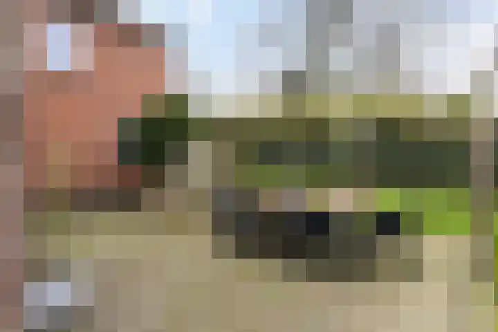 Voorstestraat 2 Weert thumbnail 38