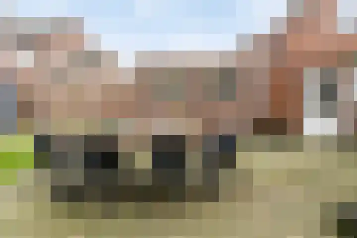 Voorstestraat 2 Weert thumbnail 39