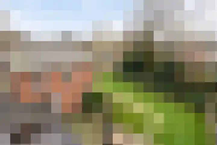 Voorstestraat 2 Weert thumbnail 41