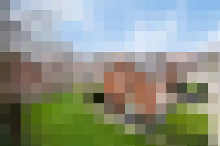 Voorstestraat 2 Weert thumbnail 42