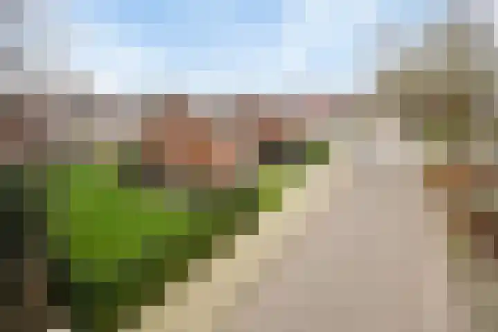 Voorstestraat 2 Weert thumbnail 47