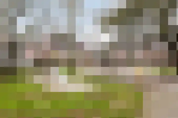 Voorstestraat 2 Weert thumbnail 48