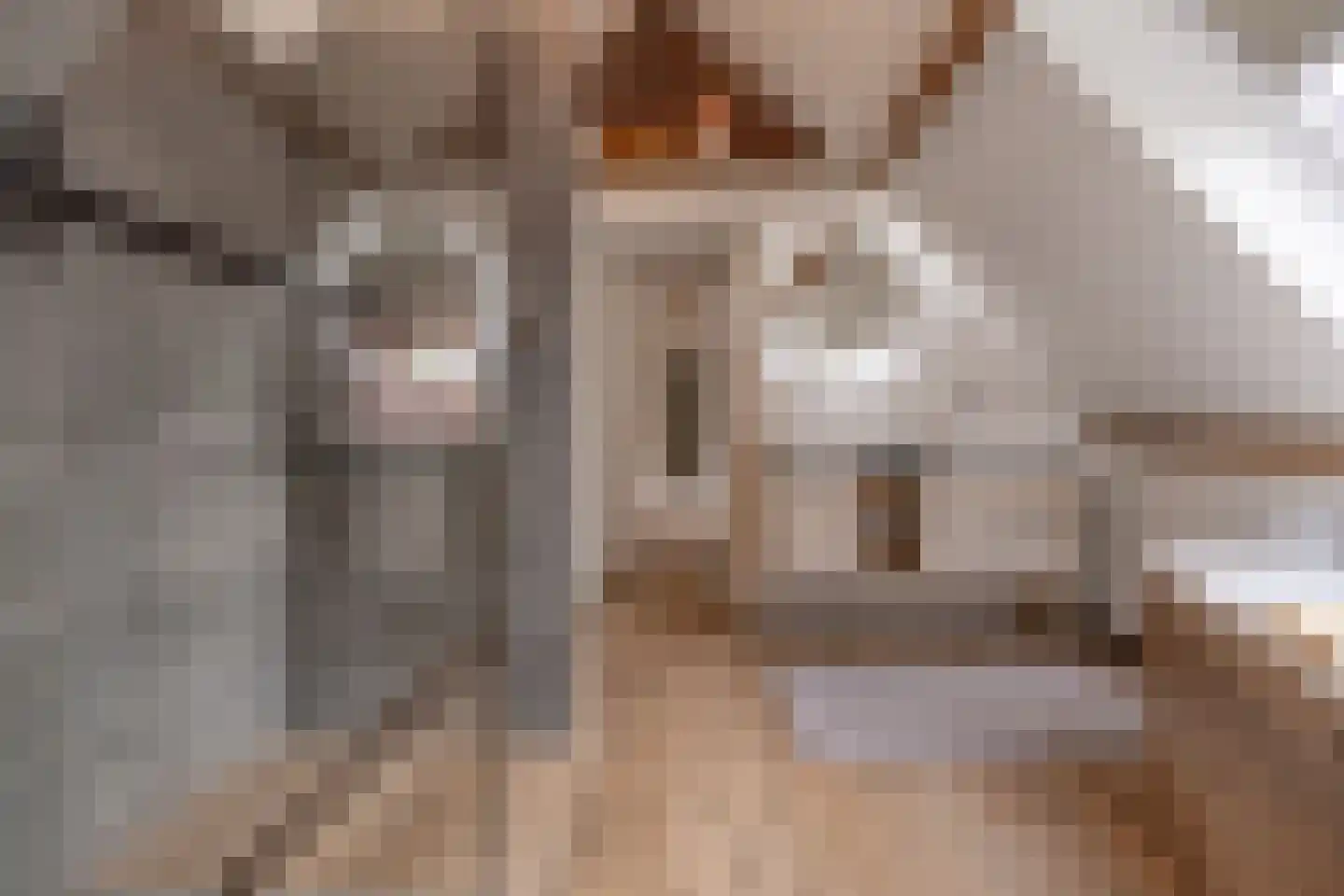 Voorstestraat 41 Weert thumbnail 23