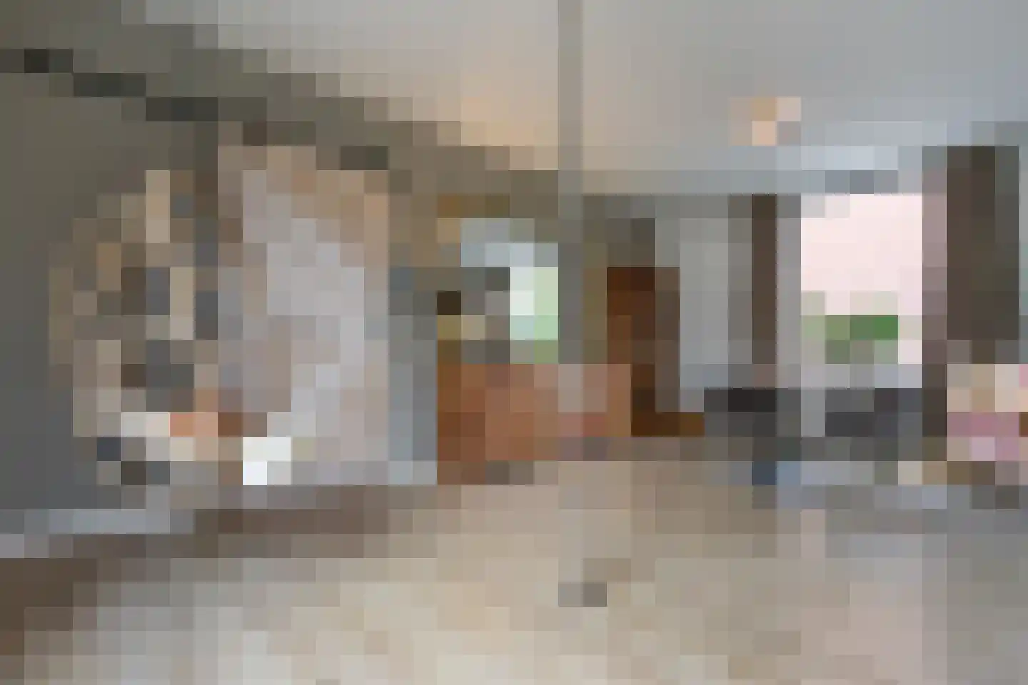 Voorstestraat 41 Weert thumbnail 9