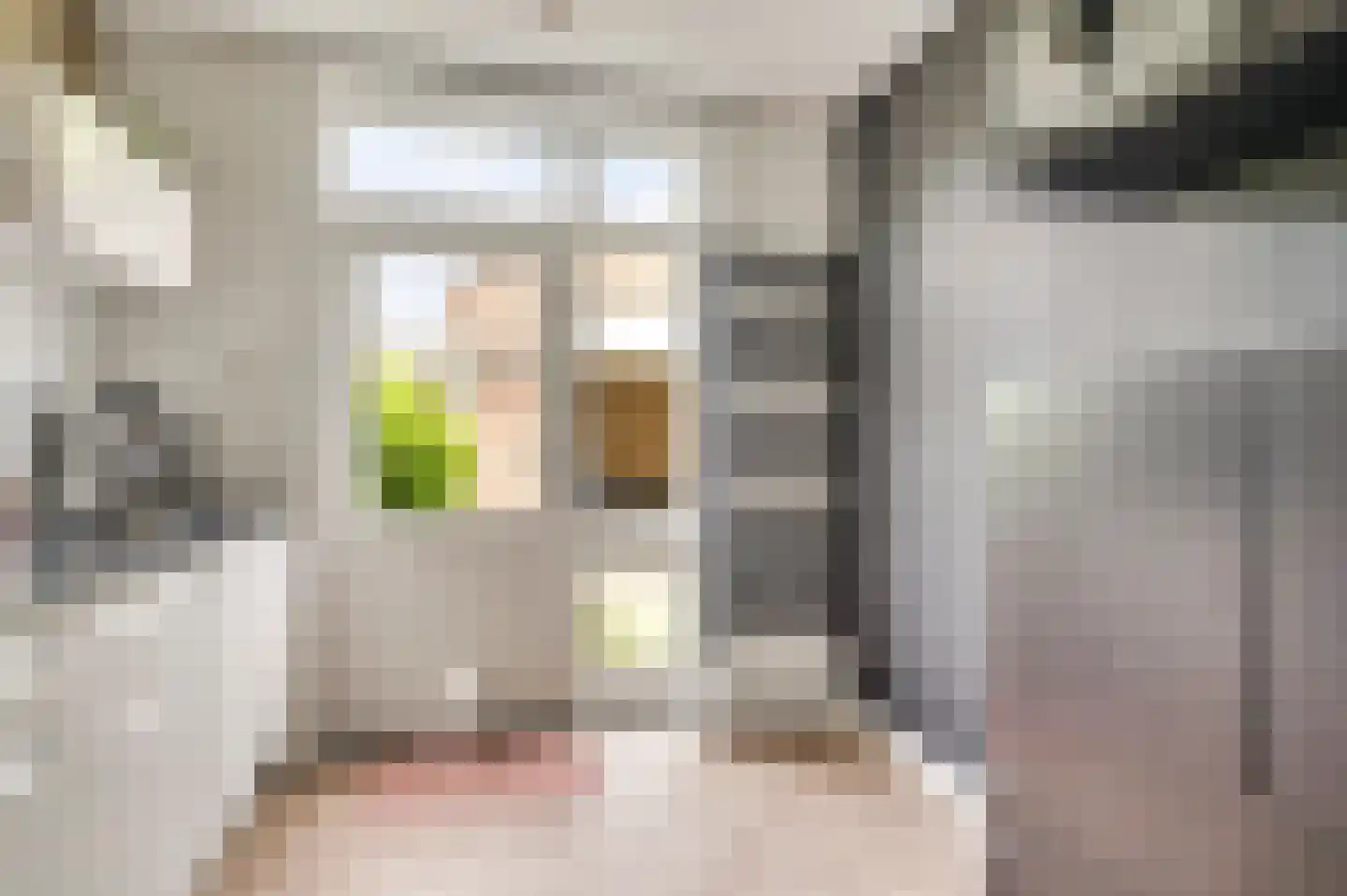 Voorstestraat 77 Weert thumbnail 7