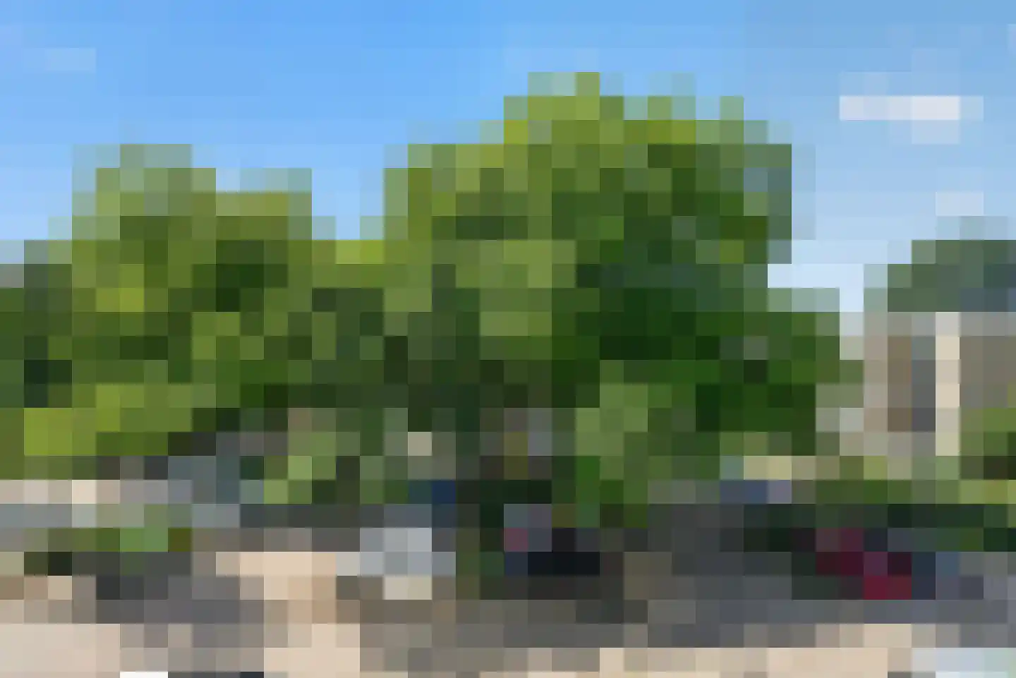 Voorsteven 100 Amsterdam thumbnail 30
