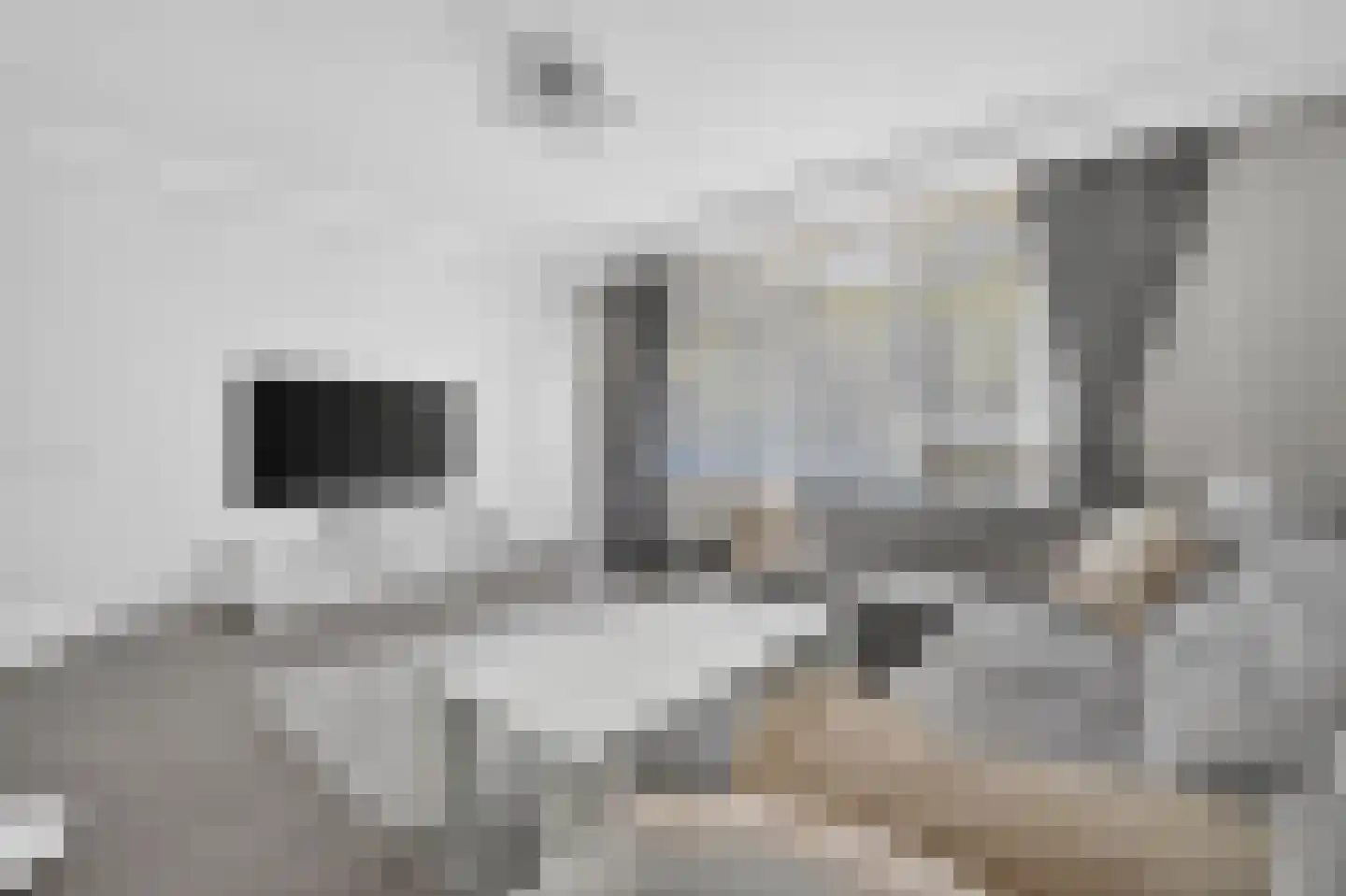 Voorsteven 100 Amsterdam thumbnail 7