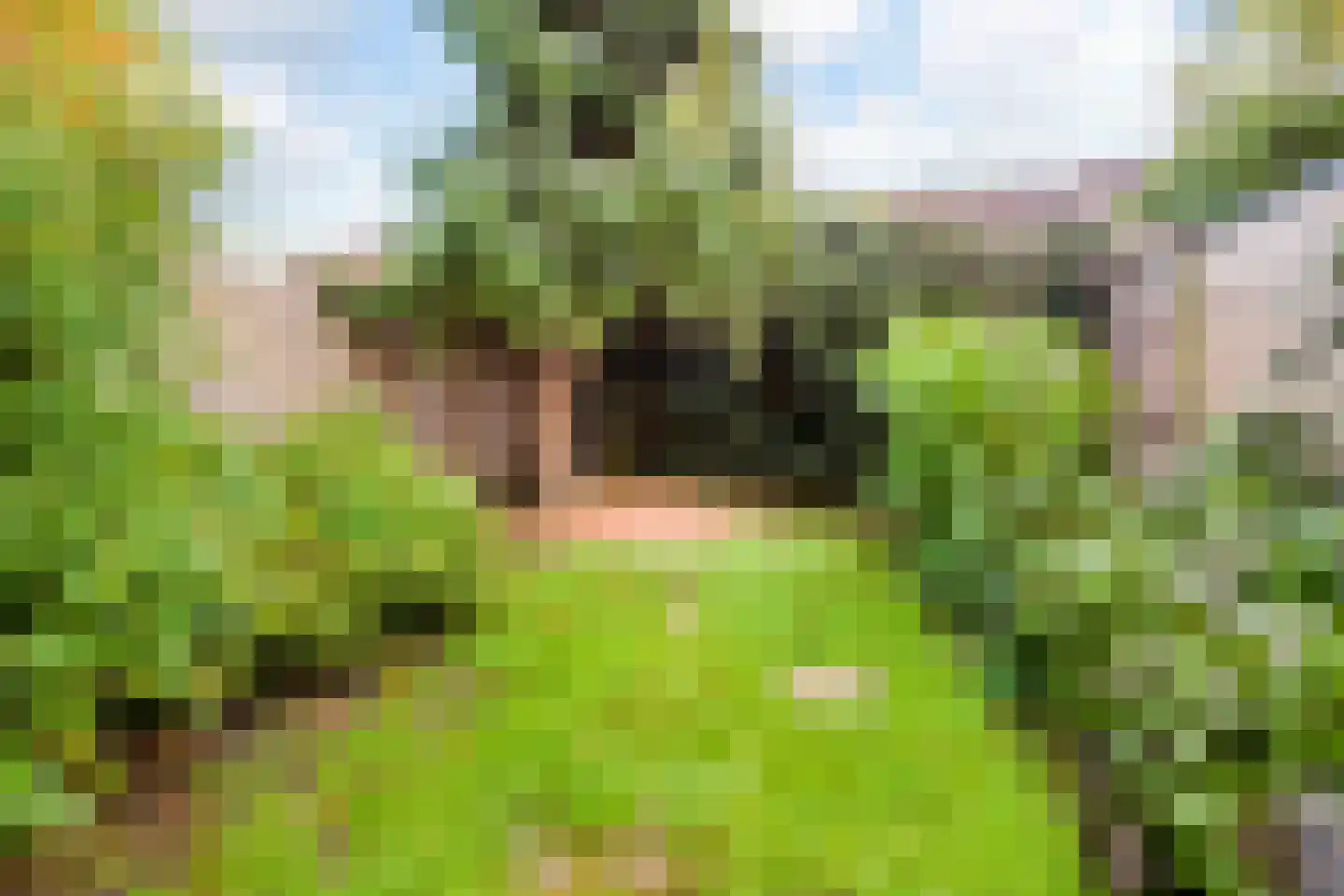 Voorsteven 14 Wijk bij Duurstede thumbnail 21