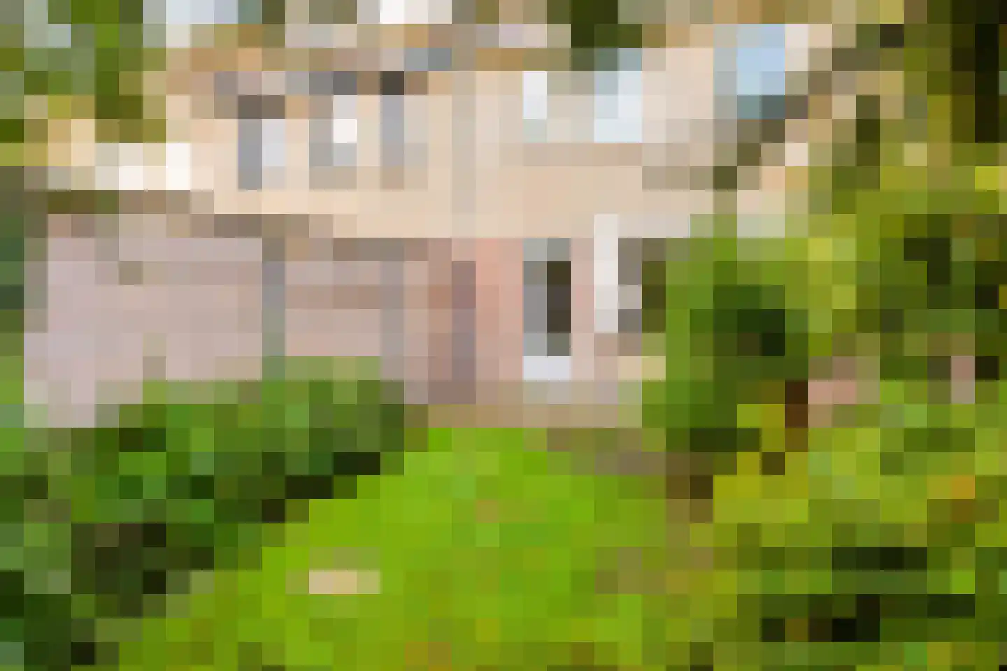 Voorsteven 14 Wijk bij Duurstede thumbnail 24
