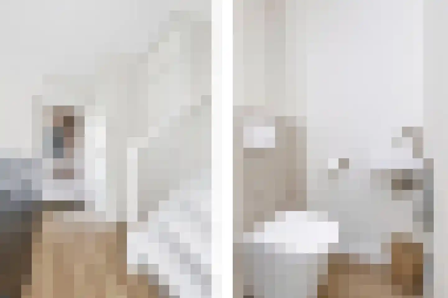 Voorsteven 14 Wijk bij Duurstede thumbnail 26