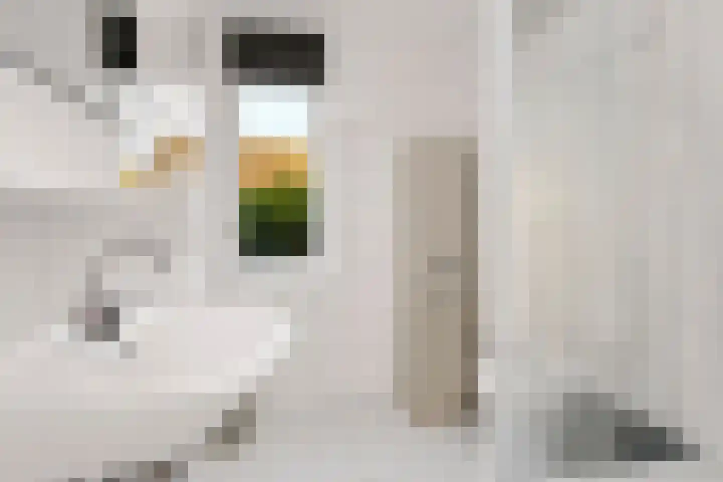 Voorsteven 14 Wijk bij Duurstede thumbnail 36