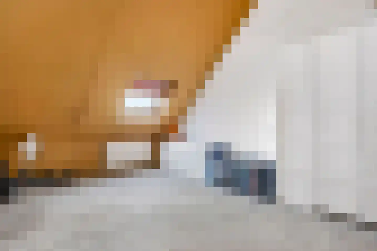 Voorsteven 14 Wijk bij Duurstede thumbnail 40