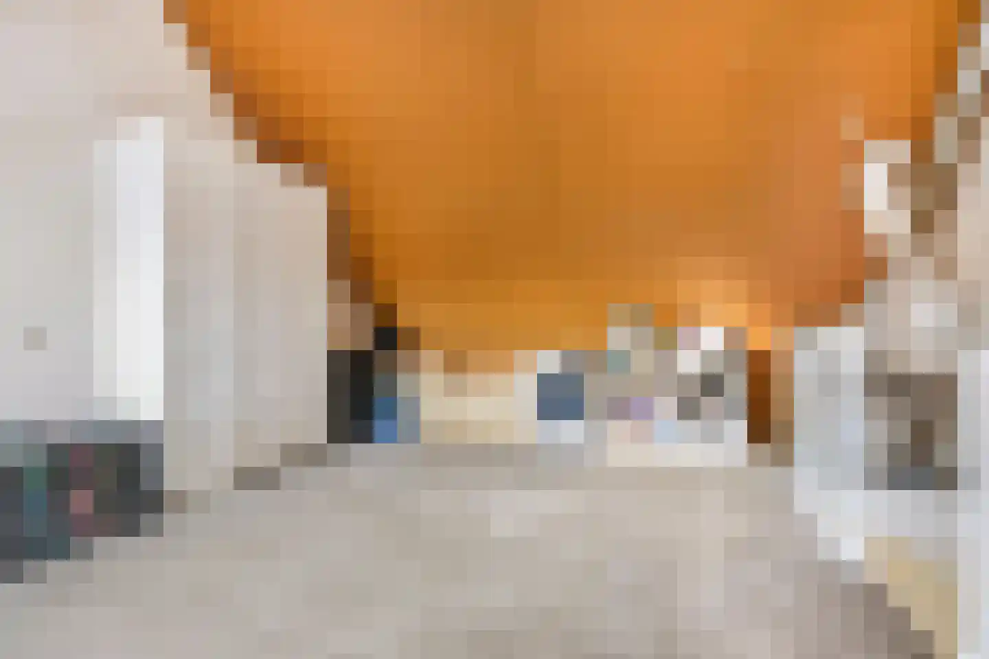 Voorsteven 14 Wijk bij Duurstede thumbnail 41