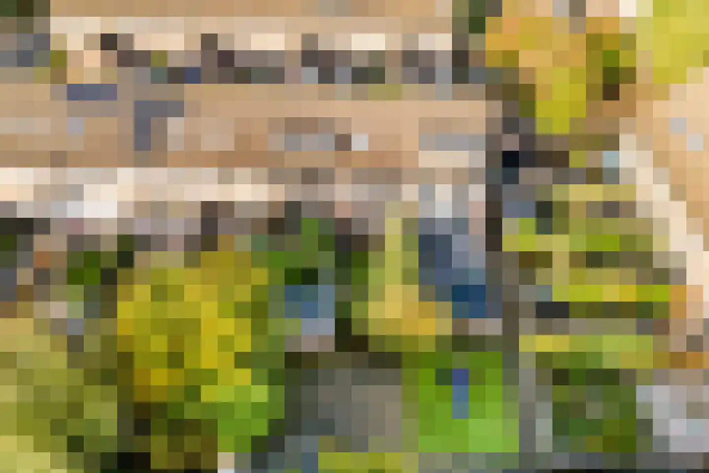 Voorsteven 14 Wijk bij Duurstede thumbnail 50