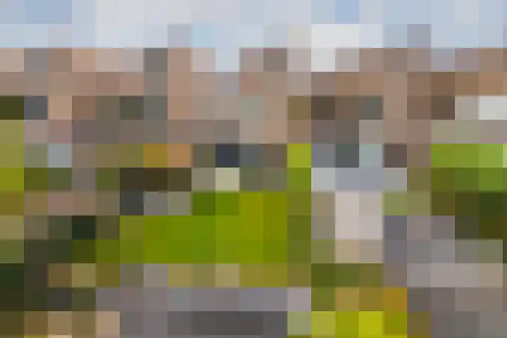 Voorsteven 16 en Bunschoten-Spakenburg