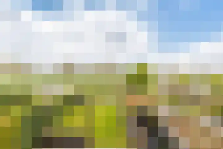 Voorsteven 16 Bunschoten-Spakenburg thumbnail 28