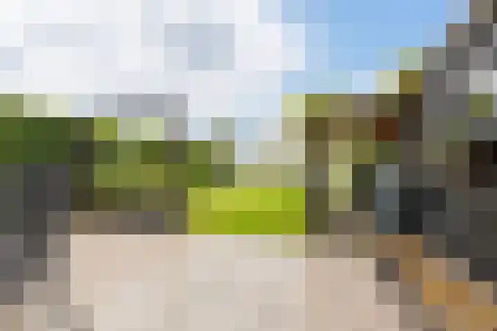 Voorsteven 16 Bunschoten-Spakenburg thumbnail 37
