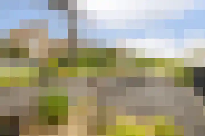 Voorsteven 16 Bunschoten-Spakenburg thumbnail 39