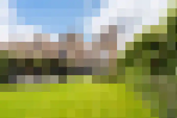 Voorsteven 16 Bunschoten-Spakenburg thumbnail 4