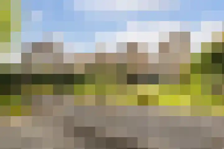 Voorsteven 16 Bunschoten-Spakenburg thumbnail 40