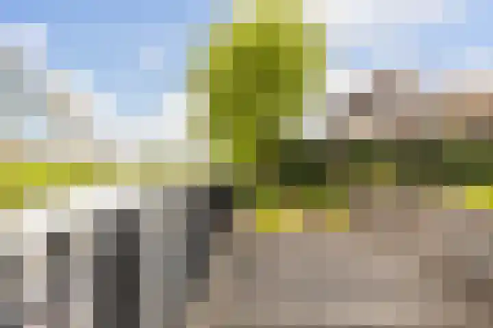 Voorsteven 16 Bunschoten-Spakenburg thumbnail 41