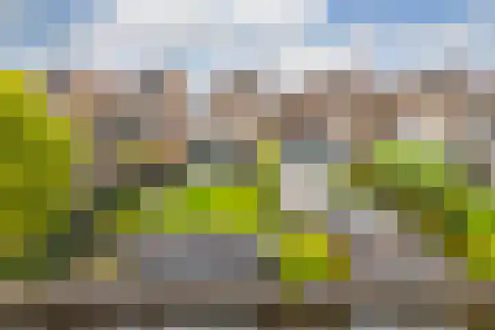 Voorsteven 16 Bunschoten-Spakenburg thumbnail 42