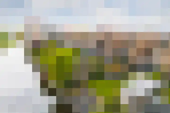 Voorsteven 16 Bunschoten-Spakenburg thumbnail 43