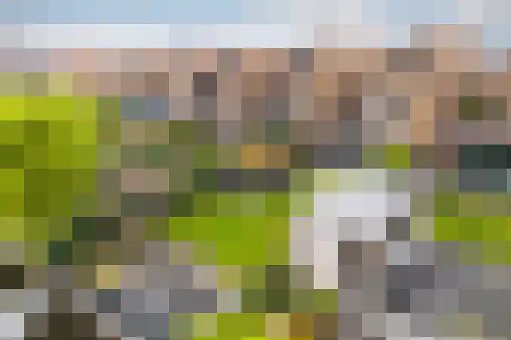 Voorsteven 16 Bunschoten-Spakenburg thumbnail 44