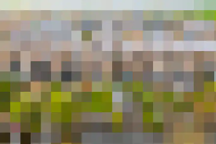 Voorsteven 16 Bunschoten-Spakenburg thumbnail 45