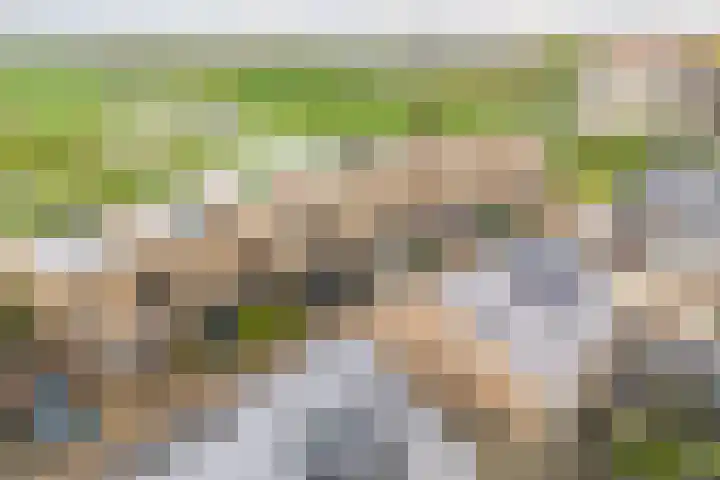 Voorsteven 16 Bunschoten-Spakenburg thumbnail 52