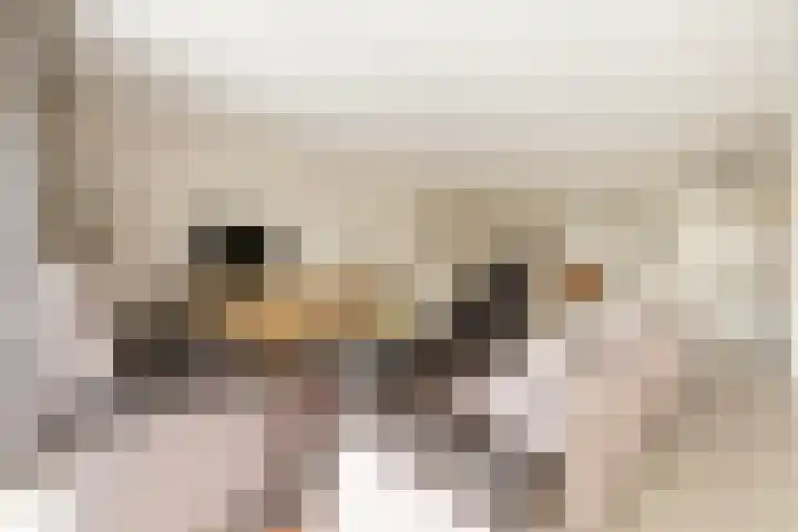 Voorsteven 16 Bunschoten-Spakenburg thumbnail 7