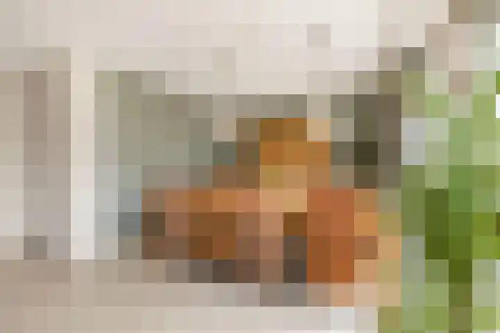 Voorsteven 16 Bunschoten-Spakenburg thumbnail 9