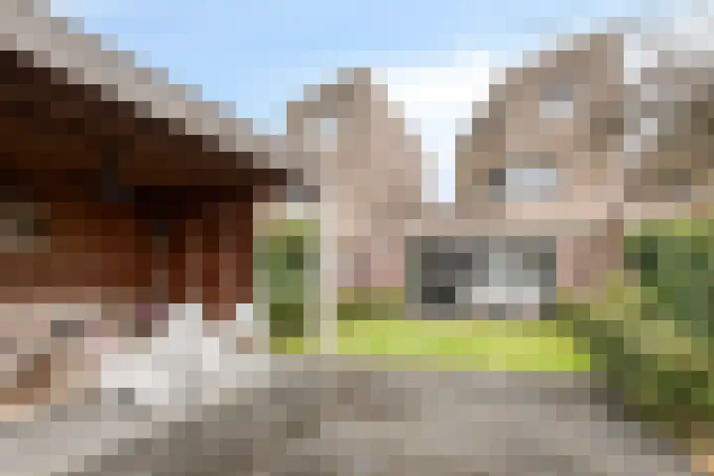Voorsteven 18 Bunschoten-Spakenburg thumbnail 39